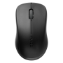 RAPOO 1680 Silent Wireless Mouse