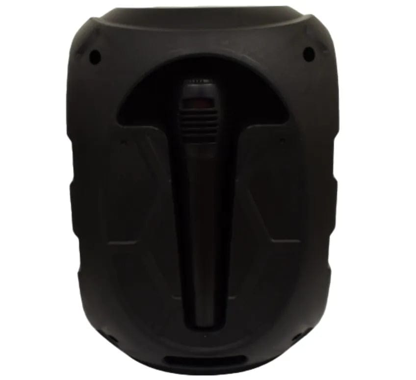 KTS speaker KTS-1333 wireless speaker With Wired Microphone