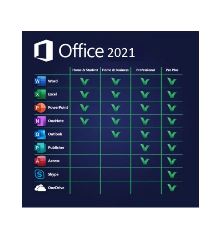 Microsoft Office Professional Plus 2021 DVD Lifetime