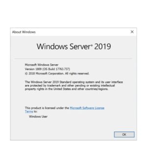 Microsoft Windows Server 2019 Standard CD Key