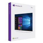 Windows 10 Professional CD Key Instant Delivery