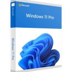 Windows 11 Professional CD License Key