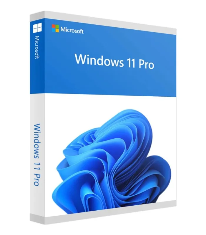 Windows 11 Professional CD License Key