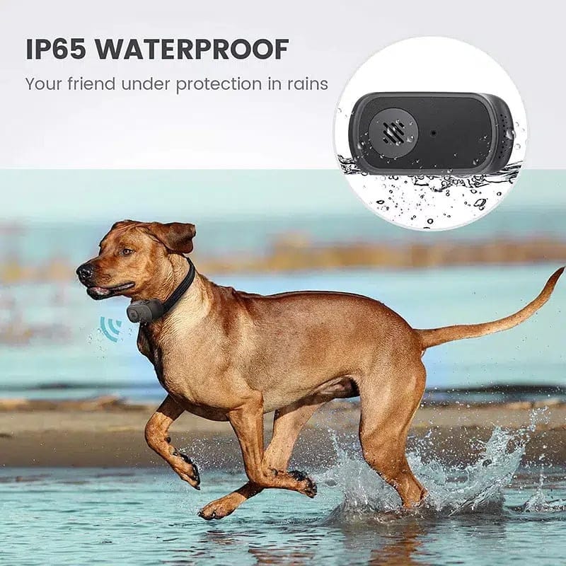 800M Dog Training Collar with Voice Commands Beep Vibration Shock Rech