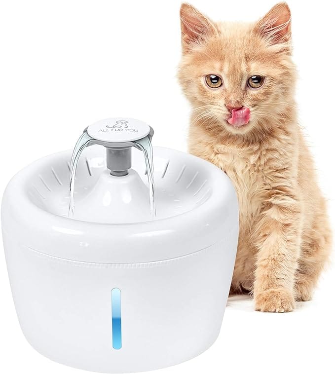 ALL FUR YOU – – Whisper Quiet Automatic Cat Water Fountain Dispenser