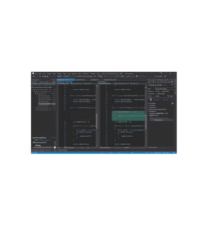 Microsoft Visual Studio 2019 Enterprise