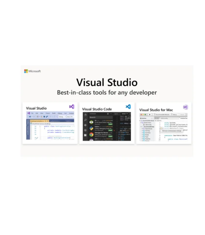 Microsoft Visual Studio 2019 Professional