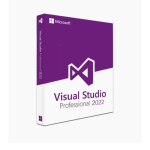 Microsoft Visual Studio 2022 Professional